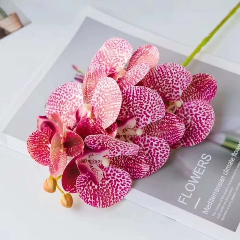 3D 인공 꽃 플라스틱 나비 난초 홈 꽃병 테이블 장식 - Smart Garden Storage 리뷰 및 가격
