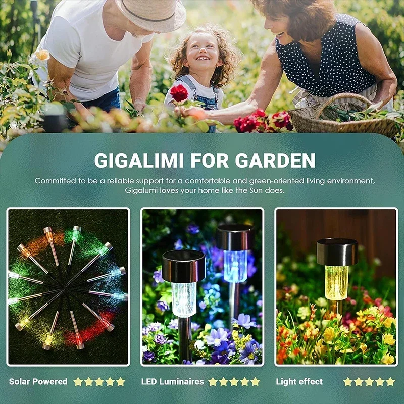 태양 야외 조명 정원 램프 태양 전원 방수 풍경 경로  - Smart Garden Light Camera 리뷰 및 가격