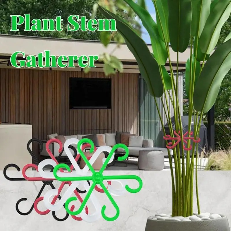 식물 줄기 지지대 클램프 몬스테라 덩굴 고정 랙 낙상  - Smart Garden Storage 리뷰 및 가격