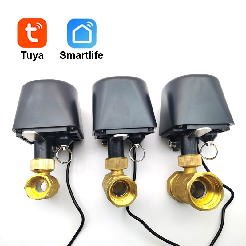 Tuya WiFi 또는 Zigbee 워터 밸브 차단 볼 - Smart Garden Water Timer 리뷰 및 가격